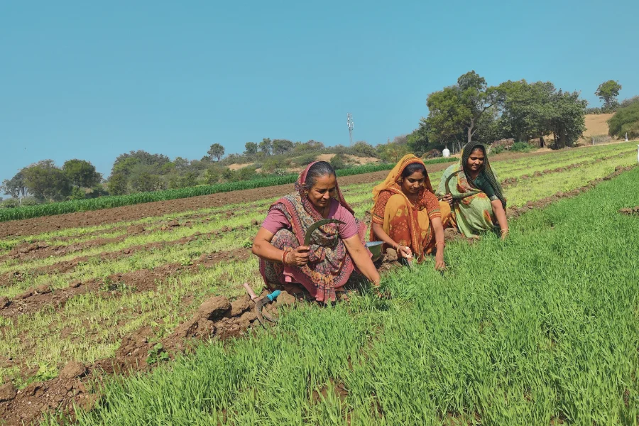 Organic Farming