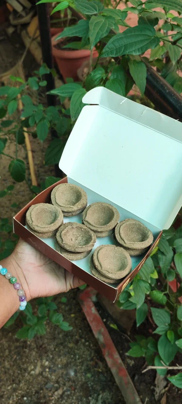 Cow Dung Diya Box