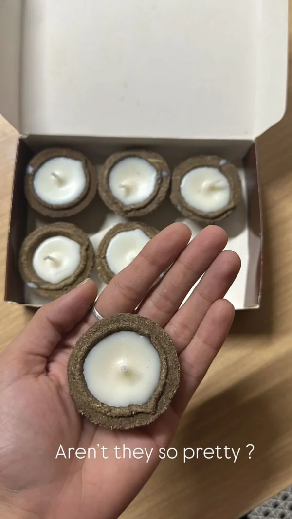 Cow Dung with Bees Was Diya Box